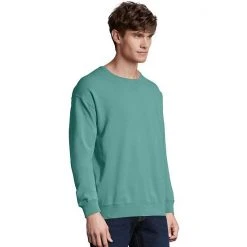 Men's Hanes® ComfortWash Garment-Dyed Fleece Sweatshirt Mint -Hanes Shop unnamed file 1908