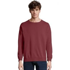 Men's Hanes® ComfortWash Garment-Dyed Fleece Sweatshirt Mint -Hanes Shop unnamed file 1912