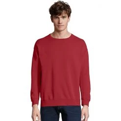 Men's Hanes® ComfortWash Garment-Dyed Fleece Sweatshirt Mint -Hanes Shop unnamed file 1916