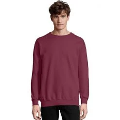 Men's Hanes Ultimate® Cotton Sweatshirt Ash -Hanes Shop unnamed file 517