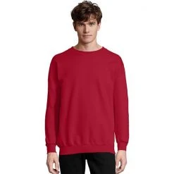 Men's Hanes Ultimate® Cotton Sweatshirt Ash -Hanes Shop unnamed file 519